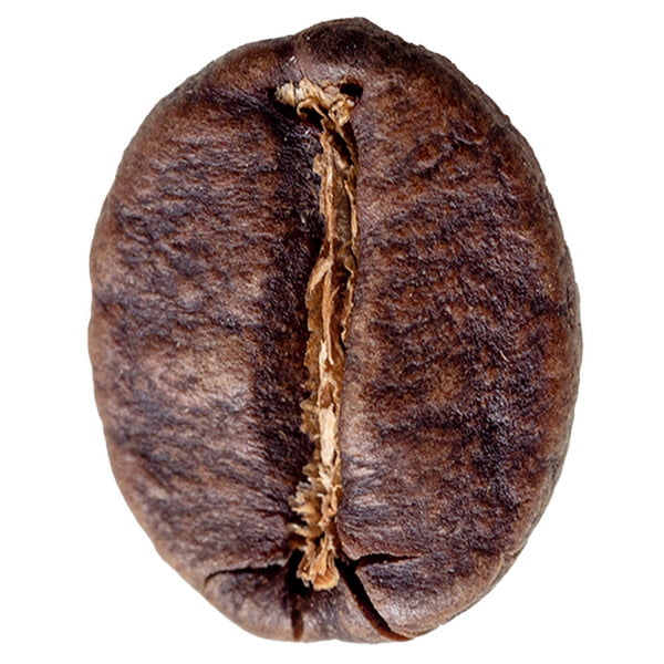 How to measure coffee beans - How to Master the Art of Making the Perfect  Cup of Coffee